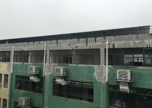 91香蕉污视频下载香蕉视频H在线观看