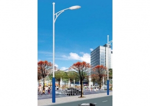 江西南昌香蕉黄色网展示