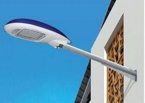 香蕉黄色网展示