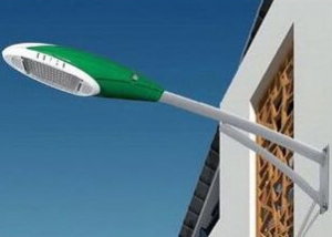 江西香蕉黄色网