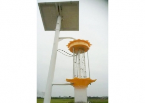 LED香蕉视频H在线观看