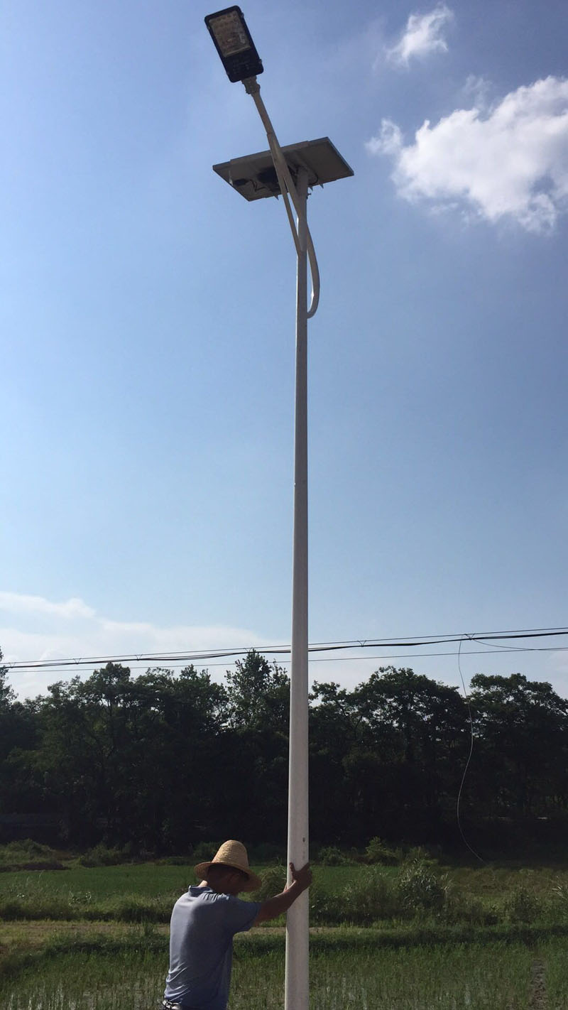 江西香蕉视频H在线观看