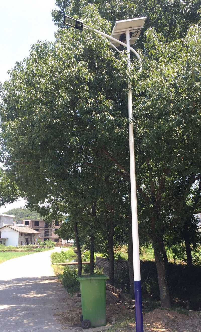 江西香蕉视频H在线观看