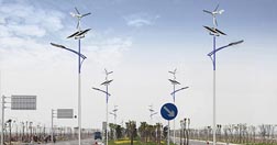 江西香蕉视频H在线观看